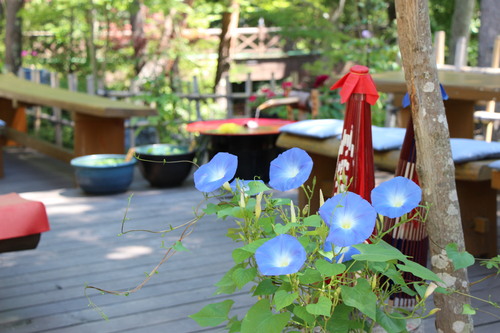 夏の庭園｜富士山温泉ホテル鐘山苑