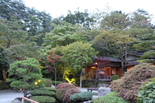 富士山温泉ホテル鐘山苑：庭園紅葉