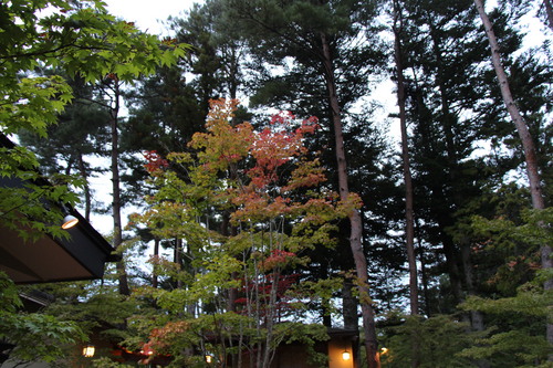 富士山温泉ホテル鐘山苑：庭園紅葉