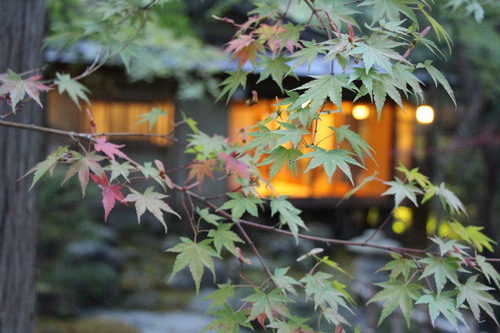 富士山温泉ホテル鐘山苑：庭園紅葉