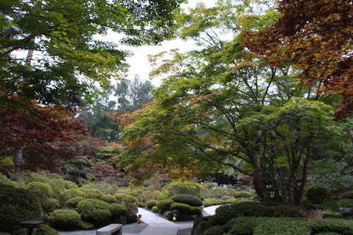 富士山温泉ホテル鐘山苑：庭園紅葉