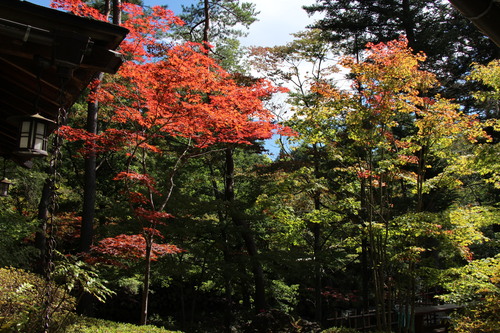 富士山温泉ホテル鐘山苑：１０／３＿４