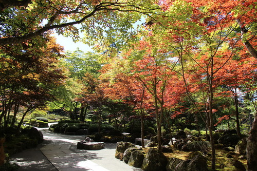 庭園の紅葉情報No.2｜富士山温泉ホテル鐘山苑