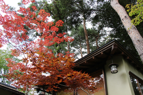 富士山温泉ホテル鐘山苑：１０／９＿５