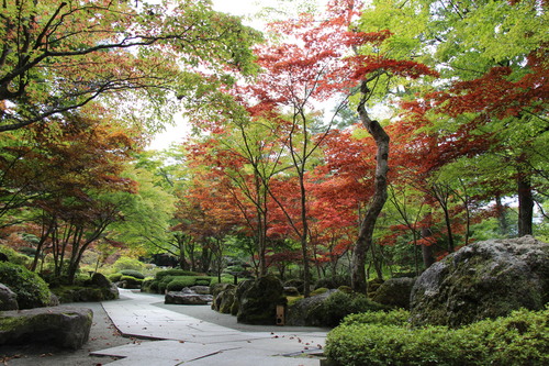 富士山温泉ホテル鐘山苑：１０／９＿６