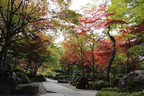 富士山温泉ホテル鐘山苑：１０／１２＿６