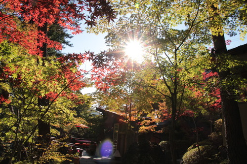 富士山温泉ホテル鐘山苑：１０／１７＿６