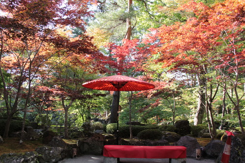 庭園の紅葉情報No.6｜富士山温泉ホテル鐘山苑