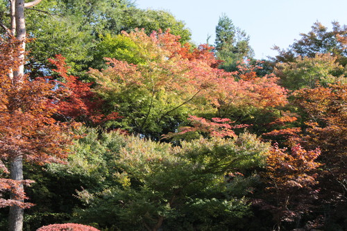 富士山温泉ホテル鐘山苑：１０／１７＿９