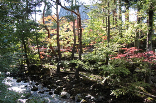 富士山温泉ホテル鐘山苑：１０／１７＿５