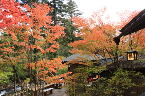 富士山温泉ホテル鐘山苑：１０／１９＿１