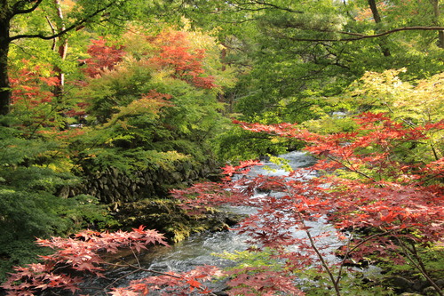 富士山温泉ホテル鐘山苑：１０／１９＿７