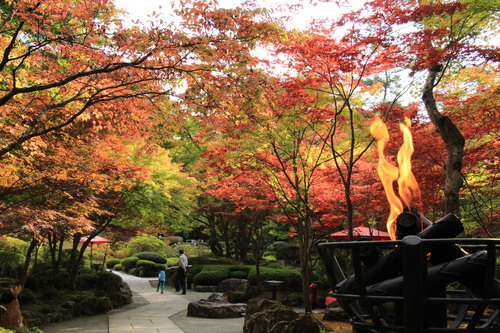 庭園の紅葉情報No.7｜富士山温泉ホテル鐘山苑