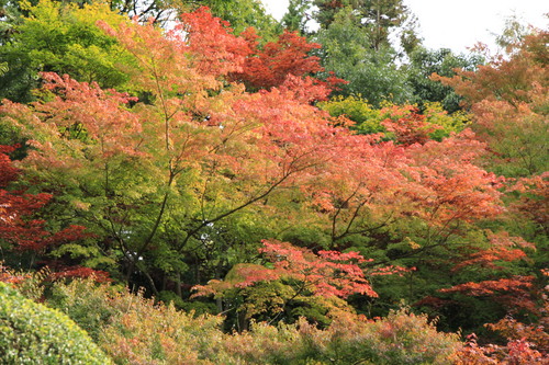 富士山温泉ホテル鐘山苑：１０／１９＿１０