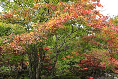 富士山温泉ホテル鐘山苑：１０／１９＿８