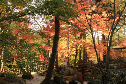 富士山温泉ホテル鐘山苑：１０／２７＿５