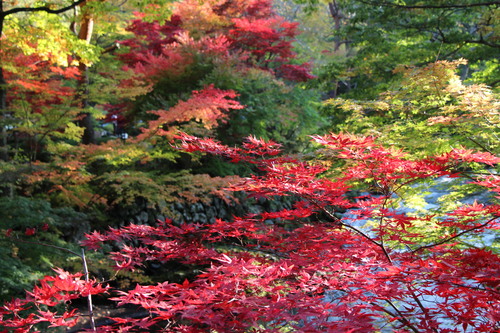 富士山温泉ホテル鐘山苑：１０／２７＿６