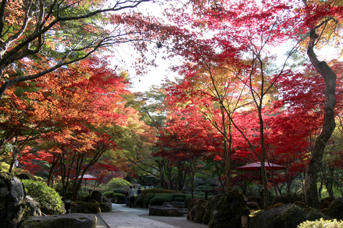 富士山温泉ホテル鐘山苑：１０／２７＿７