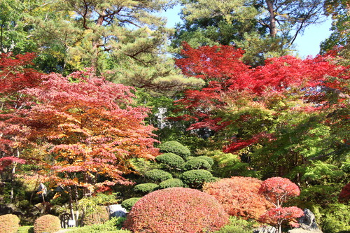 富士山温泉ホテル鐘山苑：１０／２７＿８