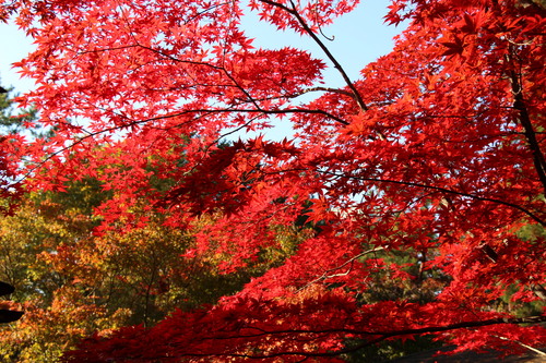 富士山温泉ホテル鐘山苑：１０／２７＿１０