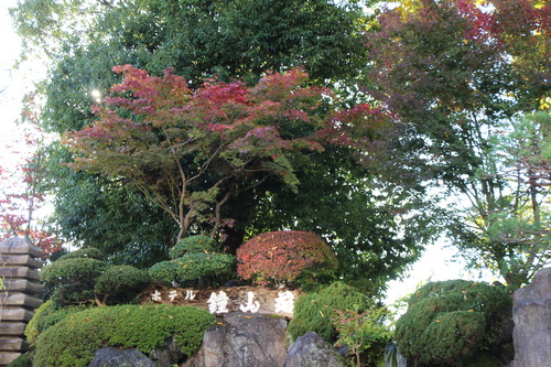 富士山温泉ホテル鐘山苑：庭園紅葉