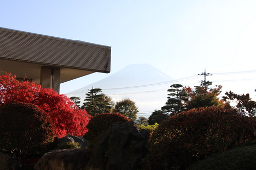 富士山温泉ホテル鐘山苑：庭園紅葉