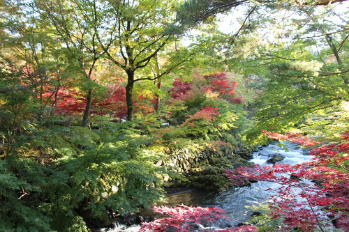 富士山温泉ホテル鐘山苑：庭園紅葉