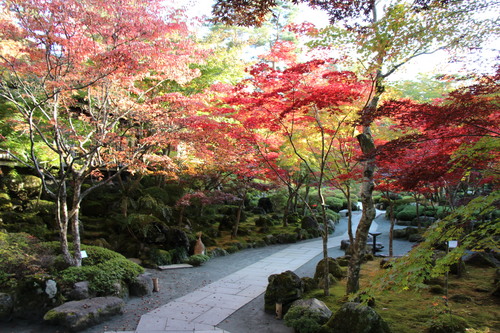 富士山温泉ホテル鐘山苑：庭園紅葉