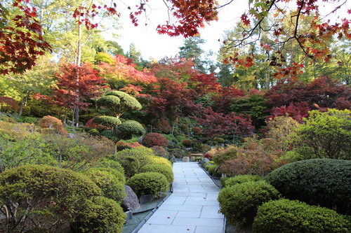 富士山温泉ホテル鐘山苑：庭園紅葉