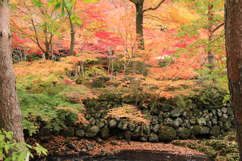 富士山温泉ホテル鐘山苑：１１／２＿５