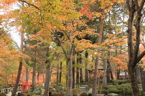 富士山温泉ホテル鐘山苑：１１／８＿６