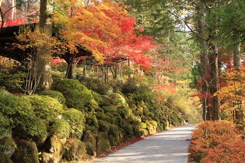 庭園の紅葉情報No.14｜富士山温泉ホテル鐘山苑