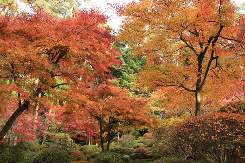 富士山温泉ホテル鐘山苑：１１／８＿４