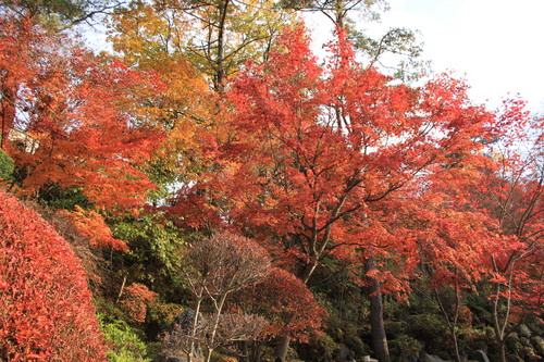 富士山温泉ホテル鐘山苑：１１／８＿１０