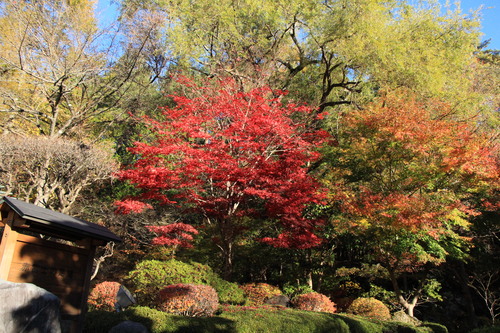 富士山温泉ホテル鐘山苑：１１／１３＿３