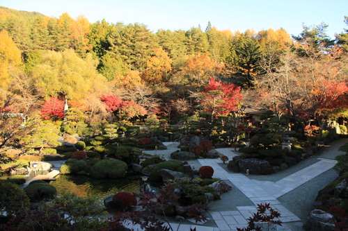 富士山温泉ホテル鐘山苑：１１／１３＿２