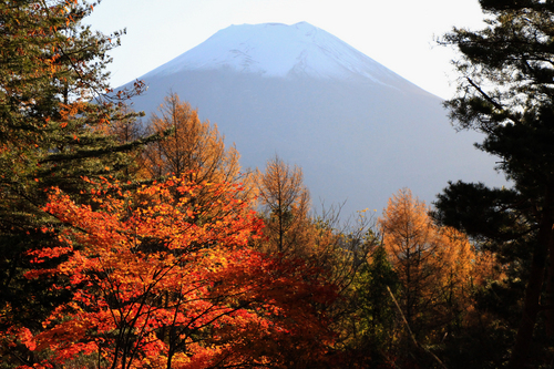 富士山温泉ホテル鐘山苑：１１／１３＿１