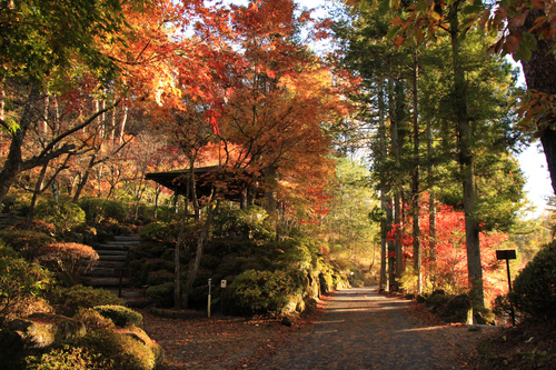 富士山温泉ホテル鐘山苑：１１／１３＿１１