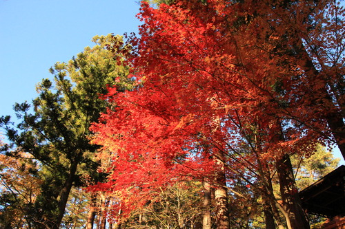 富士山温泉ホテル鐘山苑：１１／１３＿１２