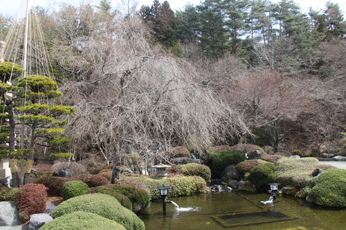 富士山温泉ホテル鐘山苑：庭園