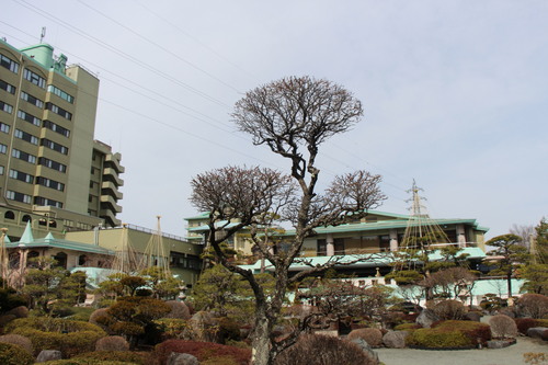 富士山温泉ホテル鐘山苑：庭園