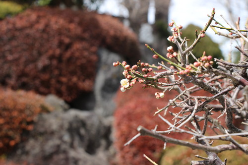 富士山温泉ホテル鐘山苑：庭園