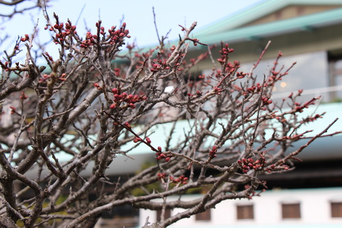 富士山温泉ホテル鐘山苑：３／２２＿６