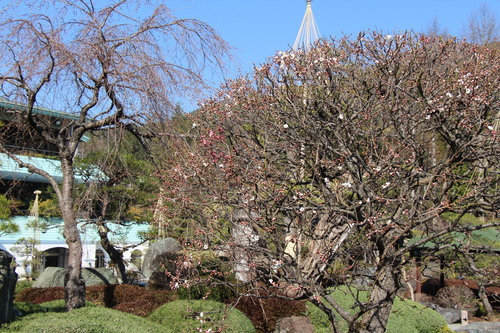 富士山温泉ホテル鐘山苑：庭園