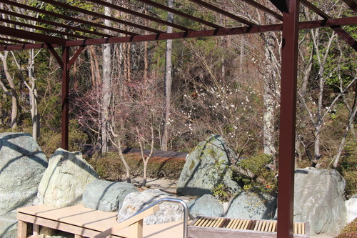 富士山温泉ホテル鐘山苑：庭園