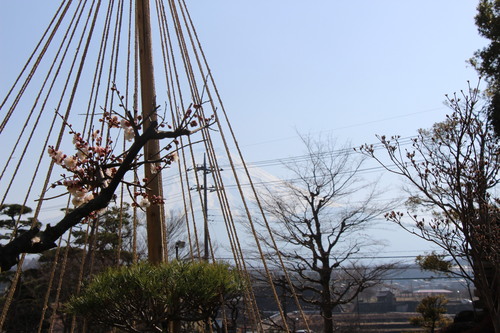 富士山温泉ホテル鐘山苑：庭園