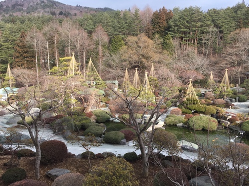 ３月の庭園｜富士山温泉ホテル鐘山苑