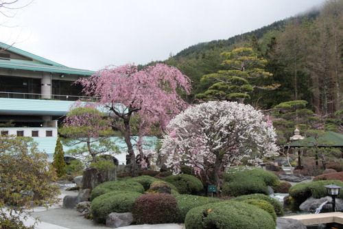 富士山温泉ホテル鐘山苑：庭園