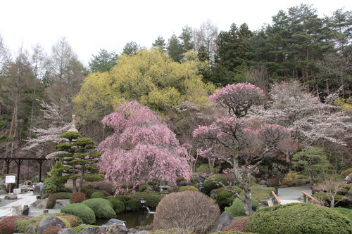 富士山温泉ホテル鐘山苑：庭園