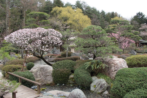 富士山温泉ホテル鐘山苑：庭園